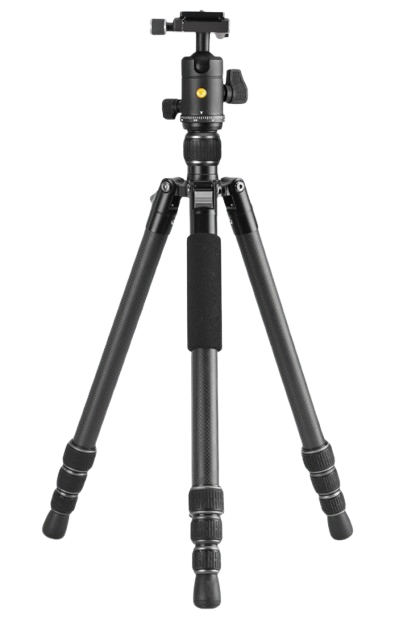 Vanguard Vesta GO 264CB + VEO BH-60 Ball Head